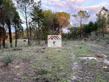 Terreno para Venda em Assafarge e Antanhol