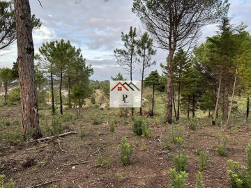 Terreno para Venda em Assafarge e Antanhol