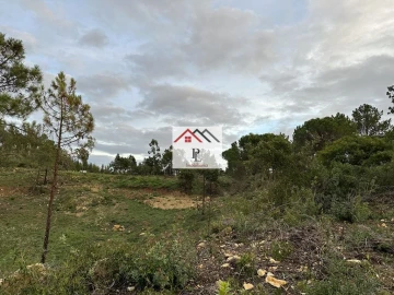 Terreno para Venda em Assafarge e Antanhol