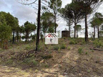 Terreno para Venda em Assafarge e Antanhol