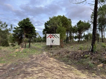 Terreno para Venda em Assafarge e Antanhol