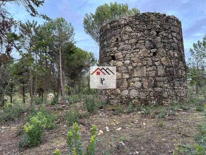 Terreno para Venda em Assafarge e Antanhol Foto 2