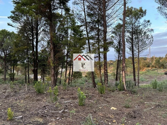 Terreno para Venda em Assafarge e Antanhol Foto 18