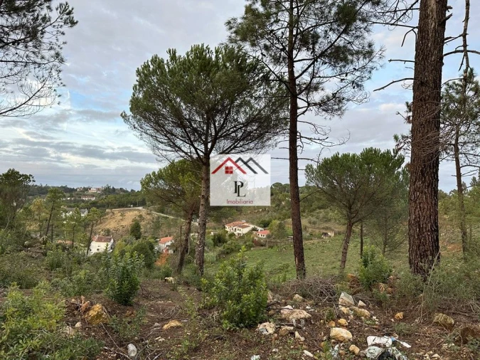 Terreno para Venda em Assafarge e Antanhol Foto 6