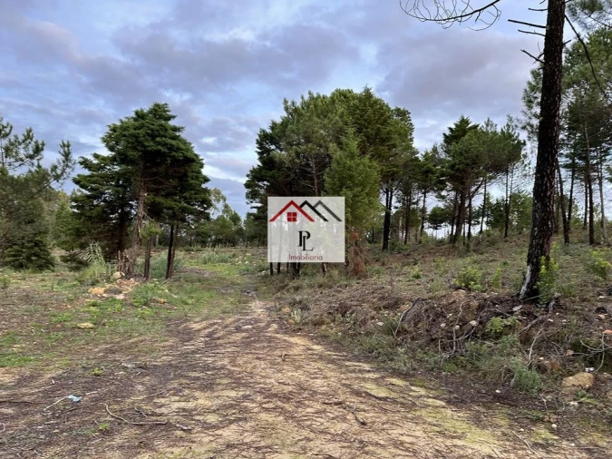 Terreno para Venda em Assafarge e Antanhol Foto 4