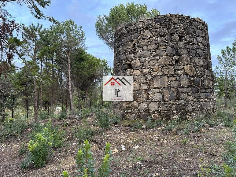 Terreno para Venda em Assafarge e Antanhol Foto 2
