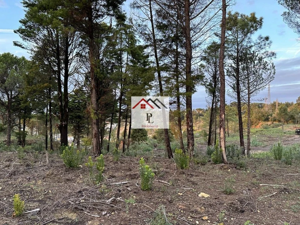 Terreno para Venda em Assafarge e Antanhol Foto 13