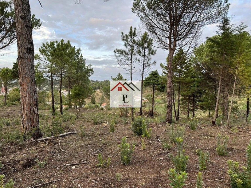 Terreno para Venda em Assafarge e Antanhol Foto 3