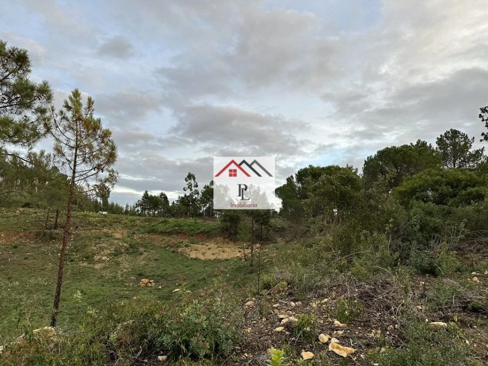 Terreno para Venda em Assafarge e Antanhol Foto 10