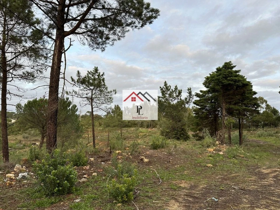 Terreno para Venda em Assafarge e Antanhol Foto 5