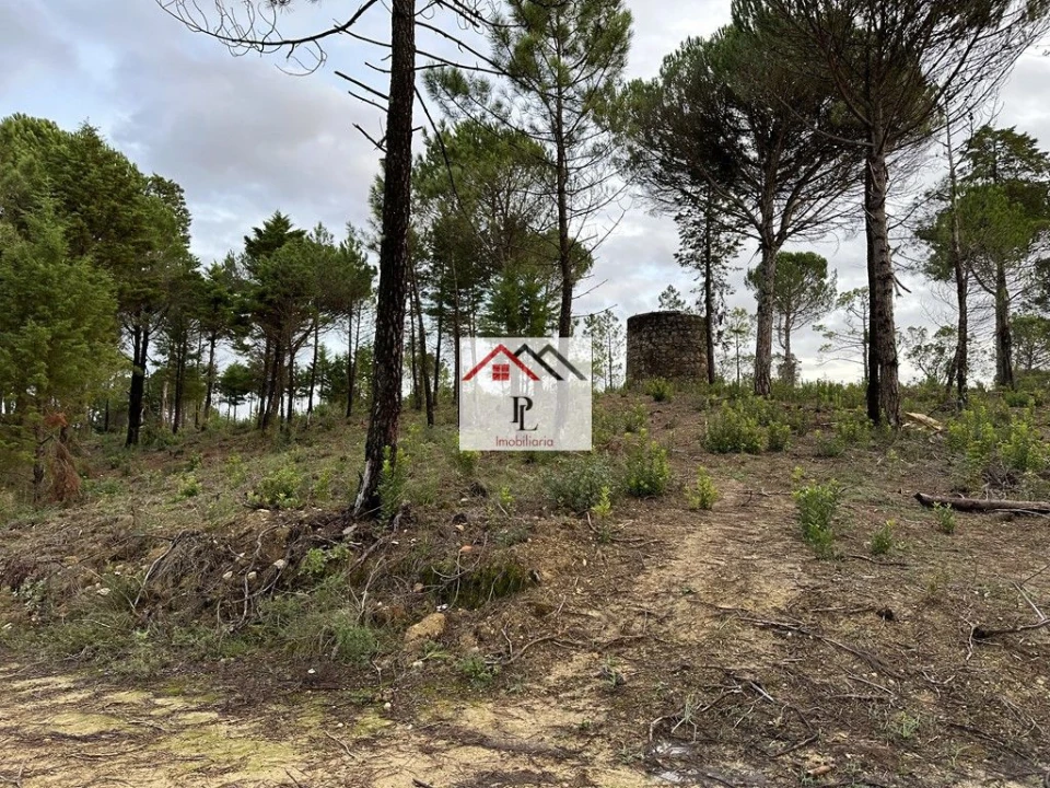 Terreno para Venda em Assafarge e Antanhol Foto 1