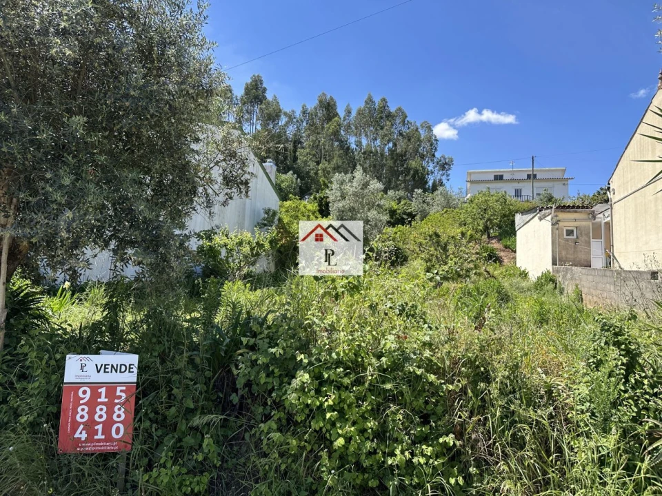 Terreno para Venda em Santo Antonio dos Olivais Foto 3