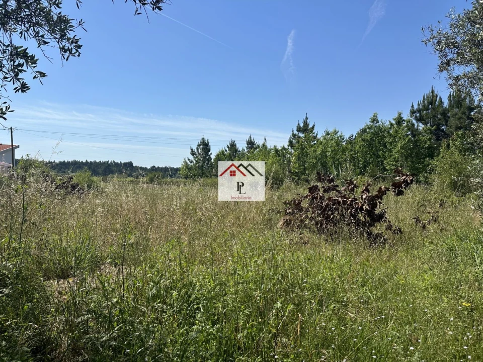 Terreno para Venda em São Lourenço do Bairro Foto 6