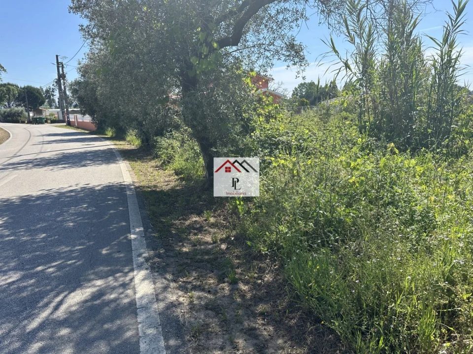 Terreno para Venda em São Lourenço do Bairro Foto 7