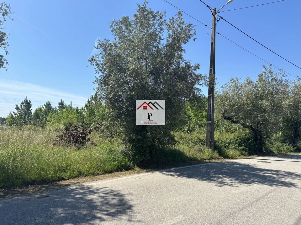 Terreno para Venda em São Lourenço do Bairro Foto 2