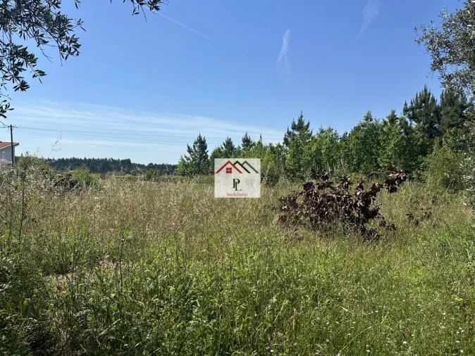 Terreno para Venda em São Lourenço do Bairro Foto 6