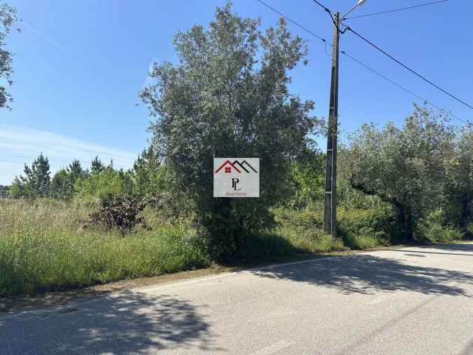 Terreno para Venda em São Lourenço do Bairro Foto 2