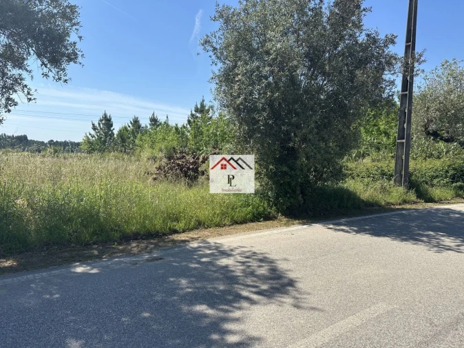 Terreno para Venda em São Lourenço do Bairro Foto 3