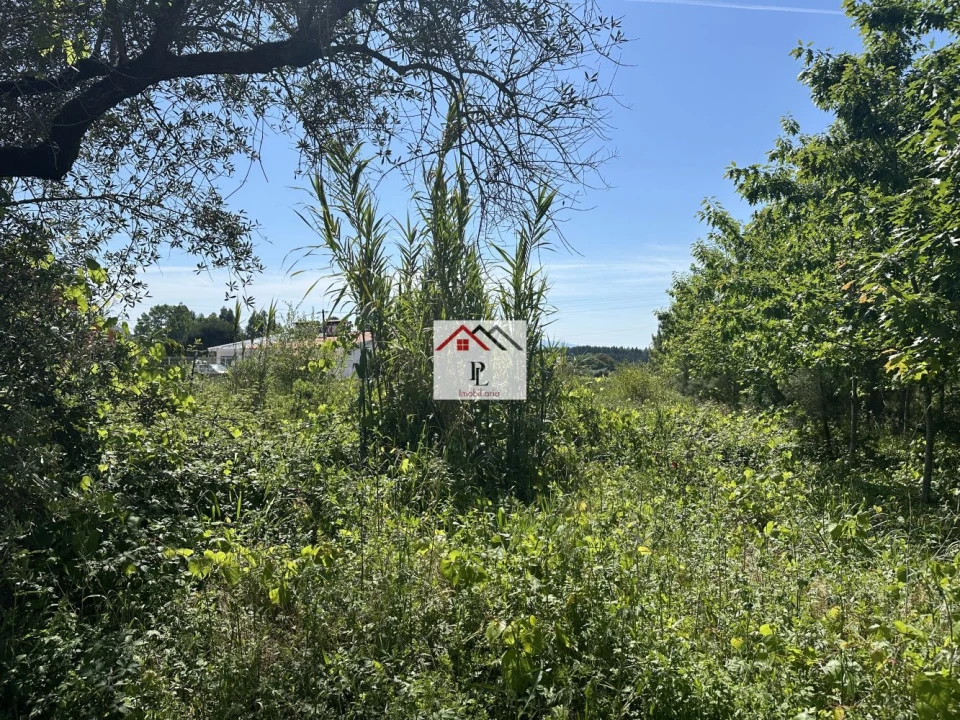 Terreno para Venda em São Lourenço do Bairro Foto 4