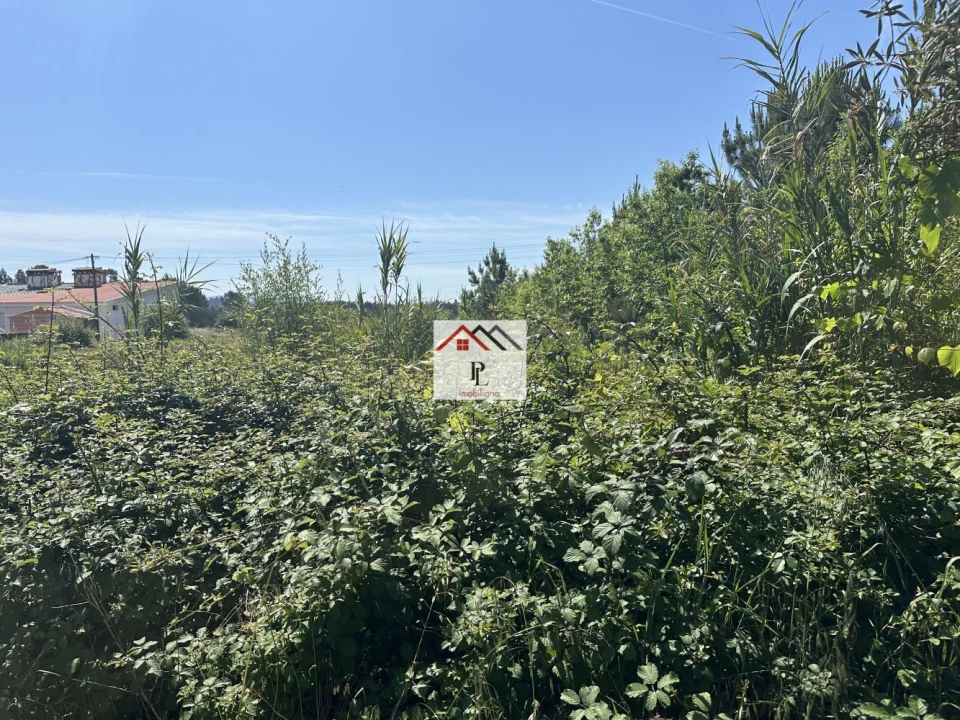 Terreno para Venda em São Lourenço do Bairro Foto 5