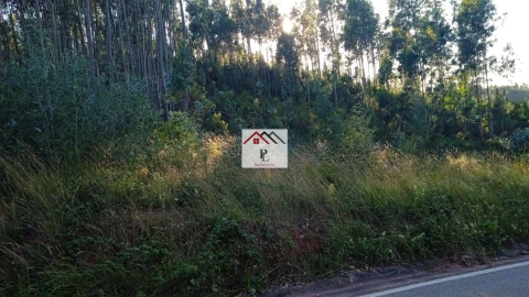 Terreno para Venda em Almalagues