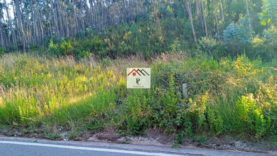 Terreno para Venda em Almalagues Foto 2