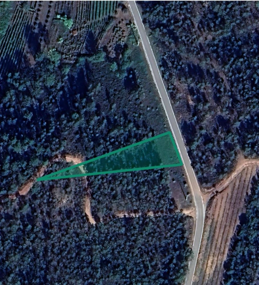 Terreno para Venda em Almalagues Planta 1