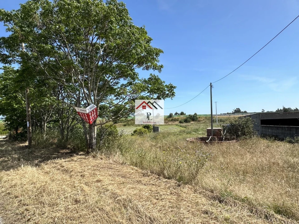 Terreno para Venda em Bom Sucesso Foto 3