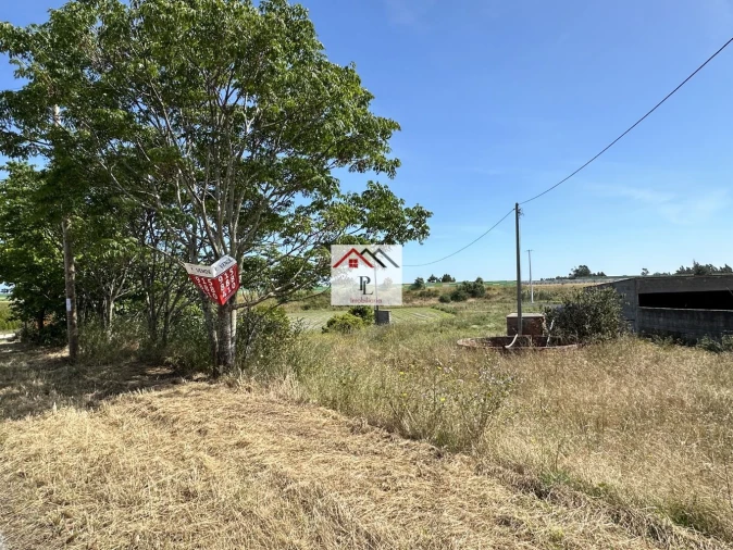 Terreno para Venda em Bom Sucesso Foto 3