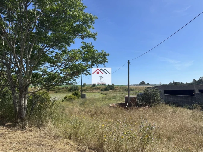 Terreno para Venda em Bom Sucesso Foto 4
