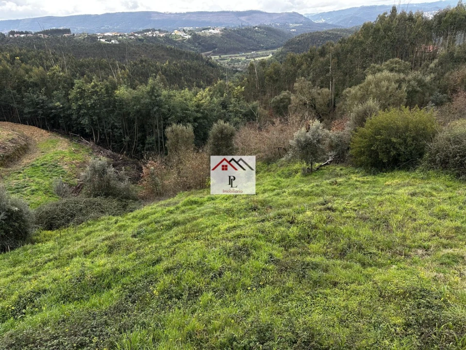Terreno para Venda em Oliveira do Mondego e Travanca do Mondego Foto 4