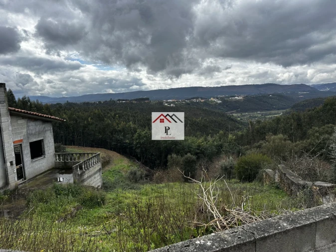Terreno para Venda em Oliveira do Mondego e Travanca do Mondego Foto 10