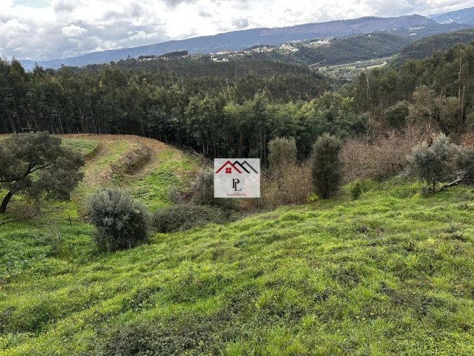 Terreno para Venda em Oliveira do Mondego e Travanca do Mondego Foto 5