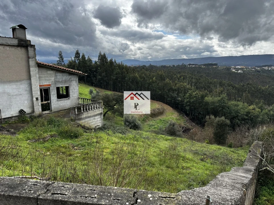 Terreno para Venda em Oliveira do Mondego e Travanca do Mondego Foto 9