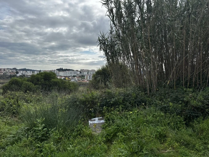 Terreno para Venda em Tavarede Foto 9