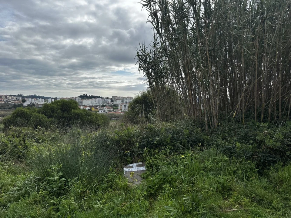 Terreno para Venda em Tavarede Foto 9