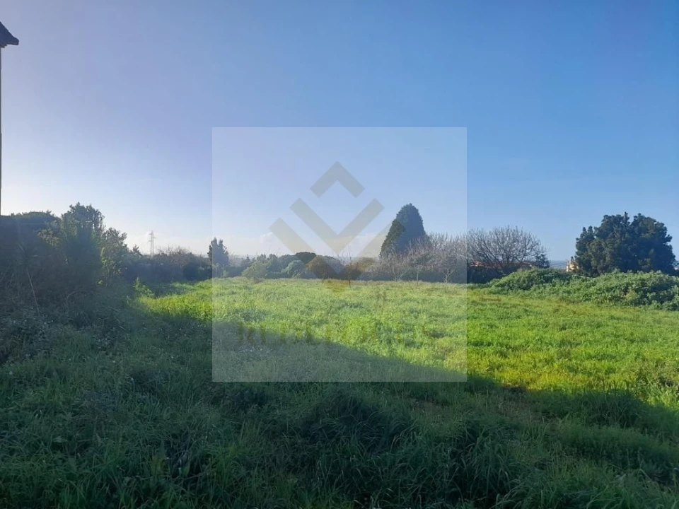 Terreno para Venda em Esmoriz Foto 1