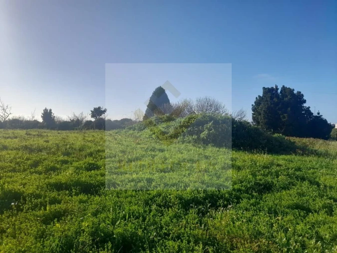 Terreno para Venda em Esmoriz Foto 6