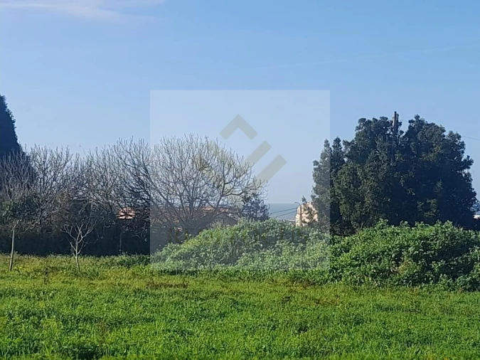 Terreno para Venda em Esmoriz Foto 3