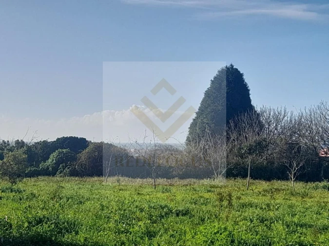 Terreno para Venda em Esmoriz Foto 2