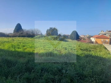 Terreno para Venda em Esmoriz