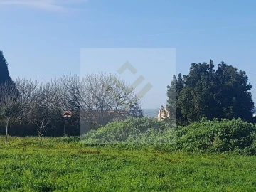 Terreno para Venda em Esmoriz