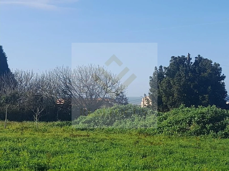 Terreno para Venda em Esmoriz Foto 2