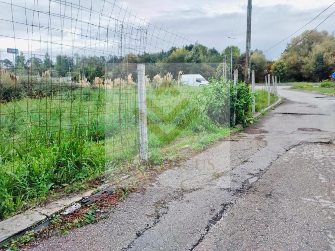 Terreno para Venda em Santa Maria de Lamas Foto 6