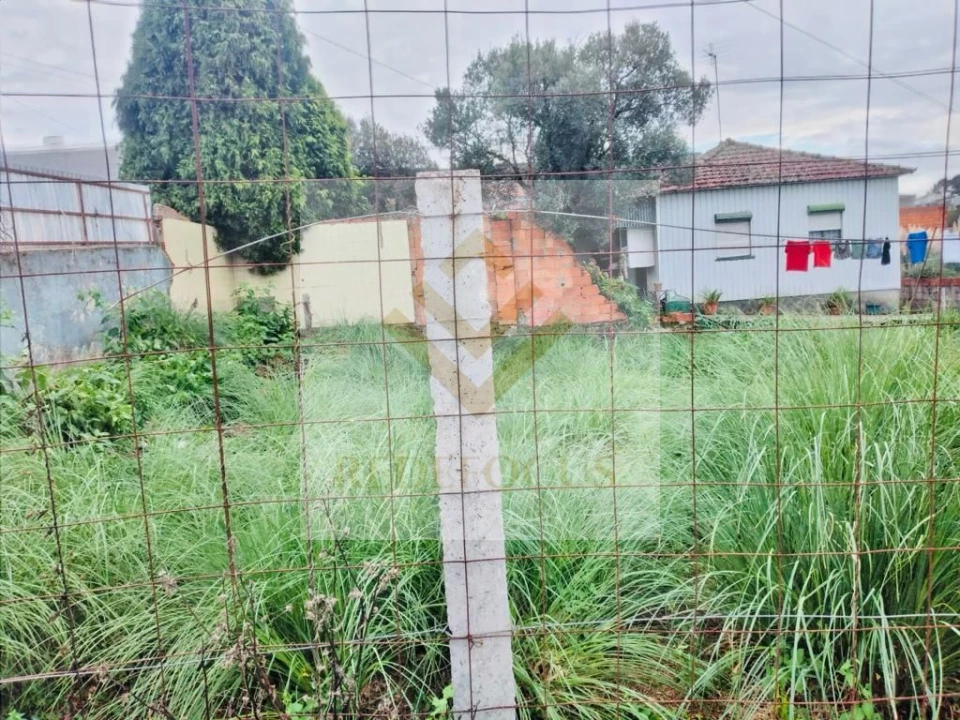 Terreno para Venda em Santa Maria de Lamas Foto 5
