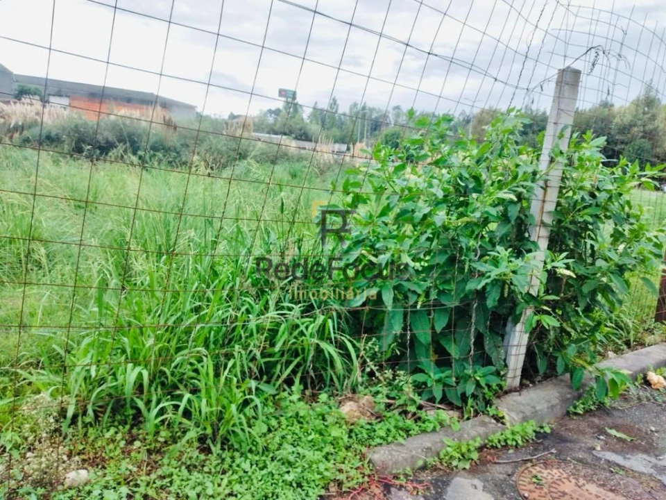 Terreno para Venda em Santa Maria de Lamas Foto 3