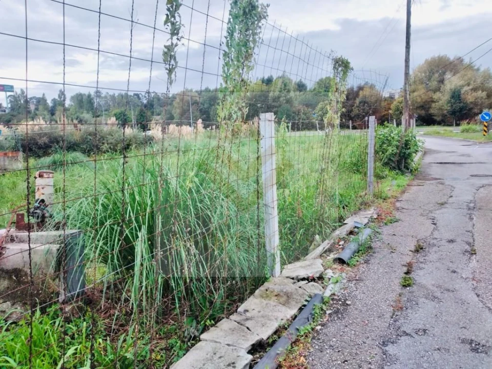 Terreno para Venda em Santa Maria de Lamas Foto 4