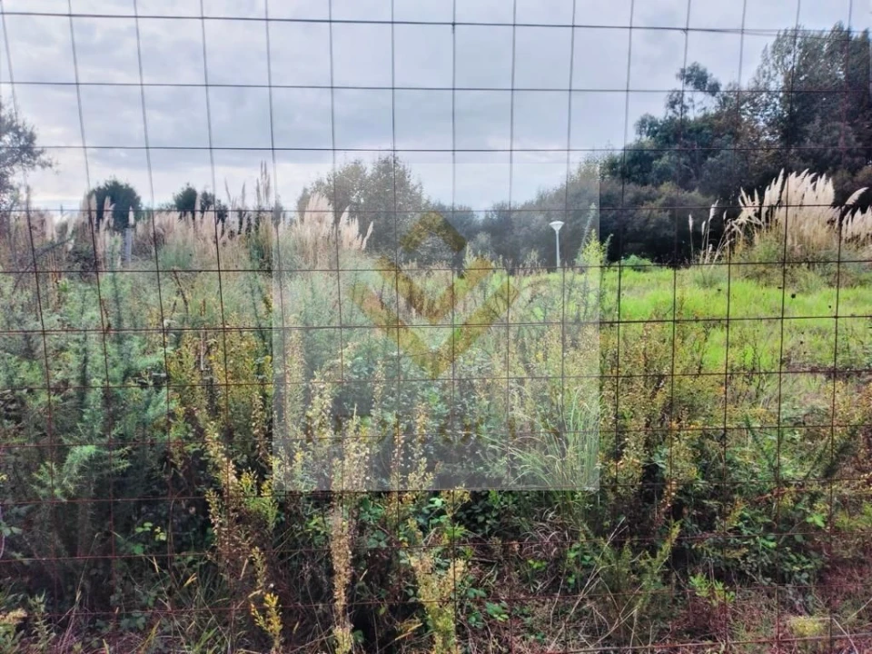 Terreno para Venda em Santa Maria de Lamas Foto 4