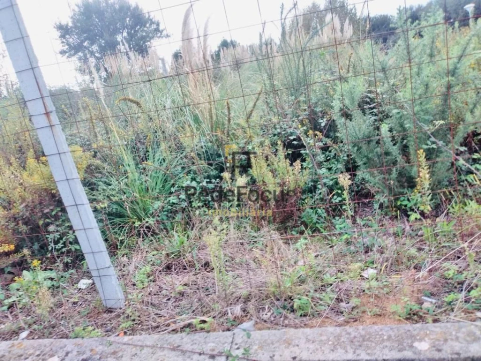 Terreno para Venda em Santa Maria de Lamas Foto 5