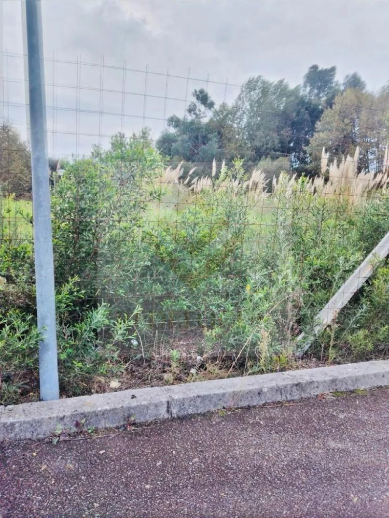 Terreno para Venda em Santa Maria de Lamas Foto 6